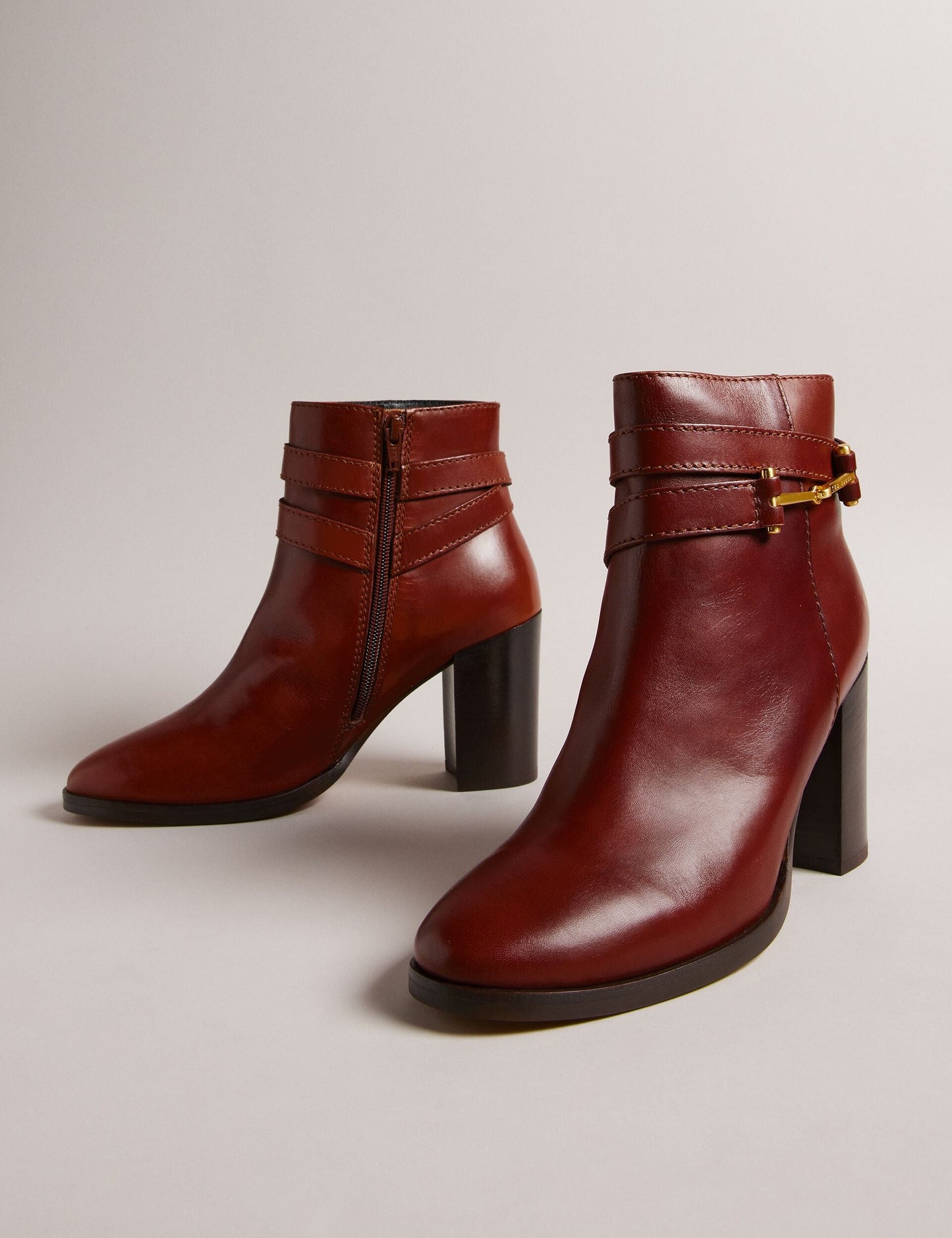 Ted Baker ANISEA - Ankle Boots TAN