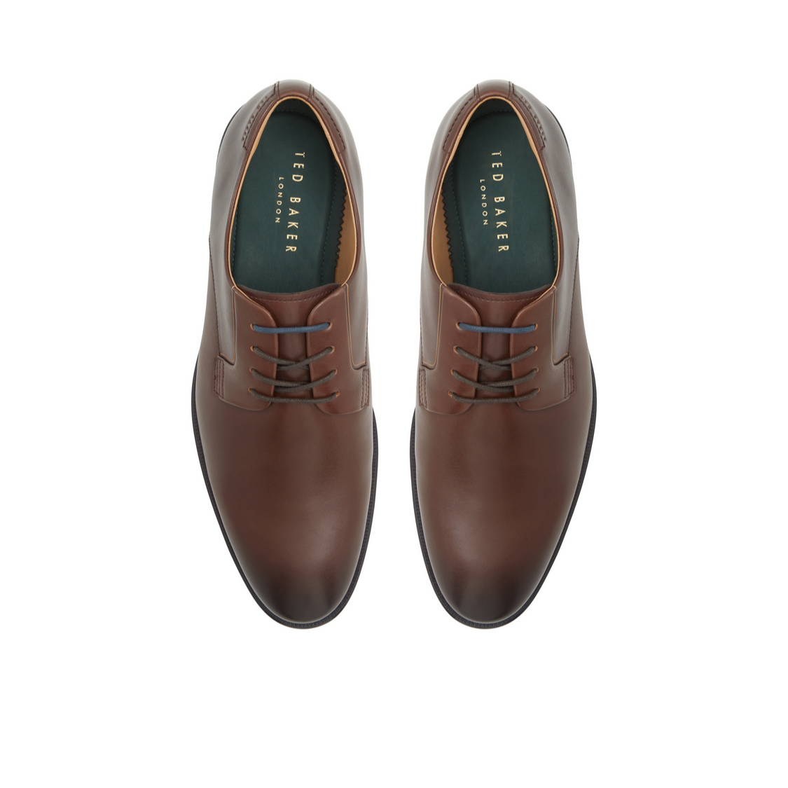 Ted Baker REGENT - Brown Smooth Leather Derby Shoes BROWN