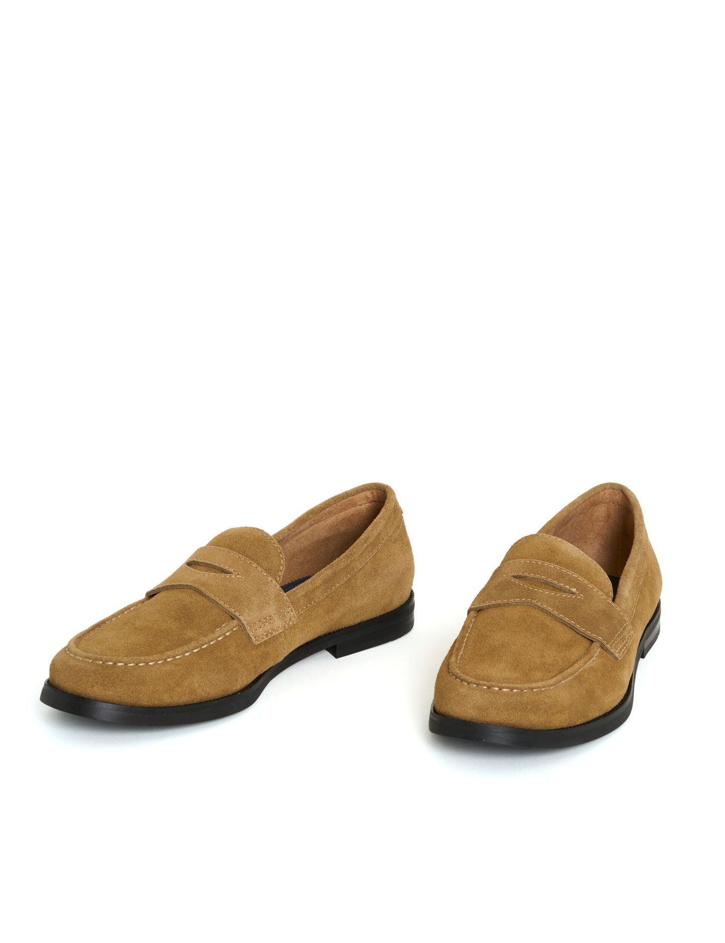 Ted Baker PARLIAMENT - Shoes TAN