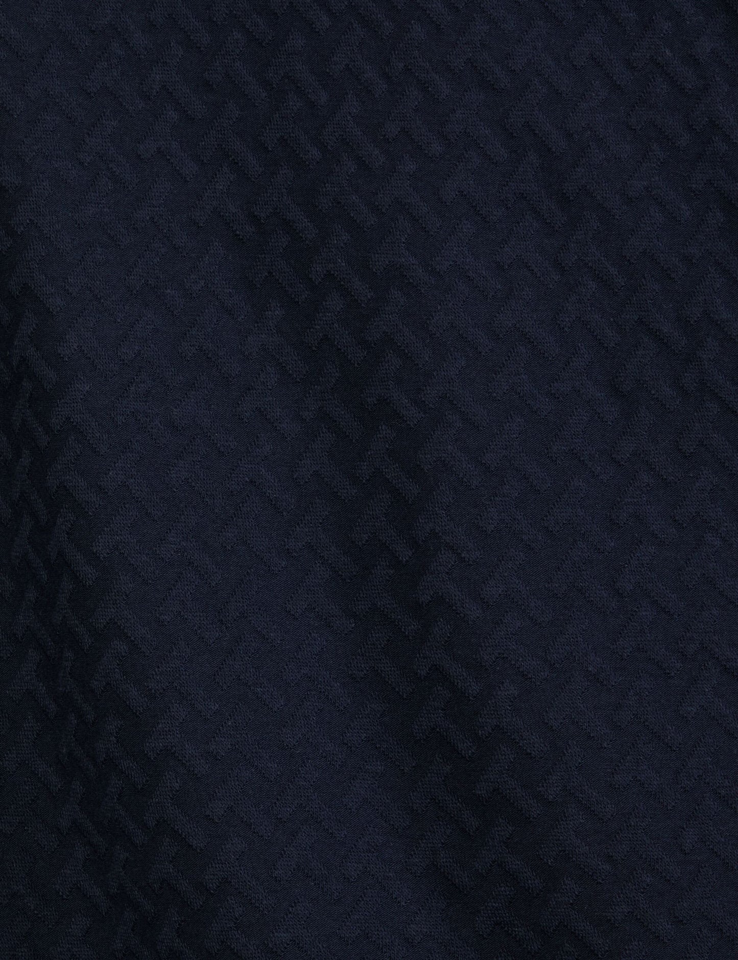 Ted Baker TEXTURE POLO - Button Up Polo NAVY