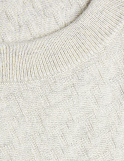 Ted Baker LOUNG - Jumper STONE